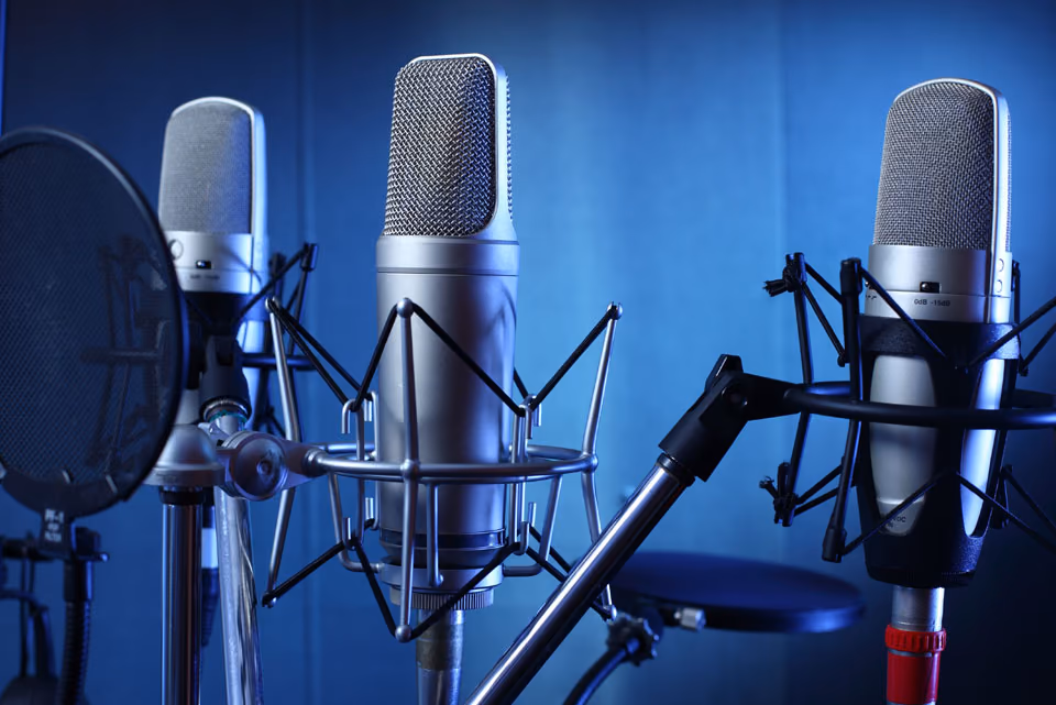 Condenser microphones in a dubbing booth